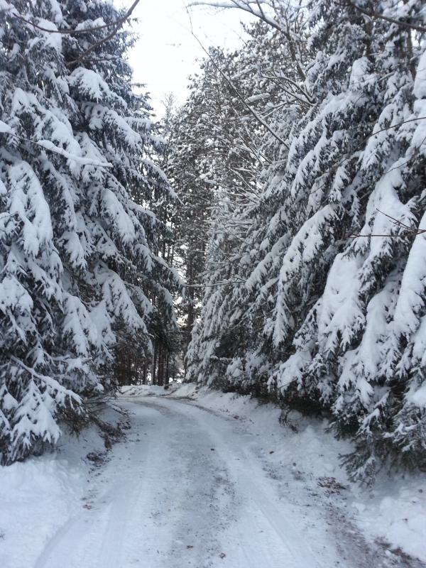 OR snow (2) resized 600