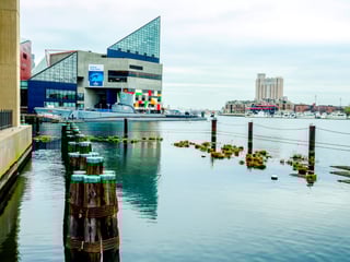 Baltimore-National-Aquarium--The-USS-Torsk-000056354942_Medium.jpg