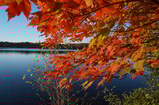 Carlin Lake Fall.jpg