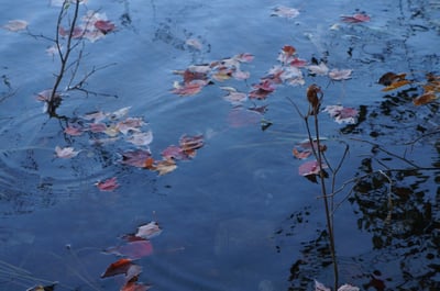 Carlin Lake Peak Color 007