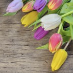 We're excited about 2016 as we move into Spring!